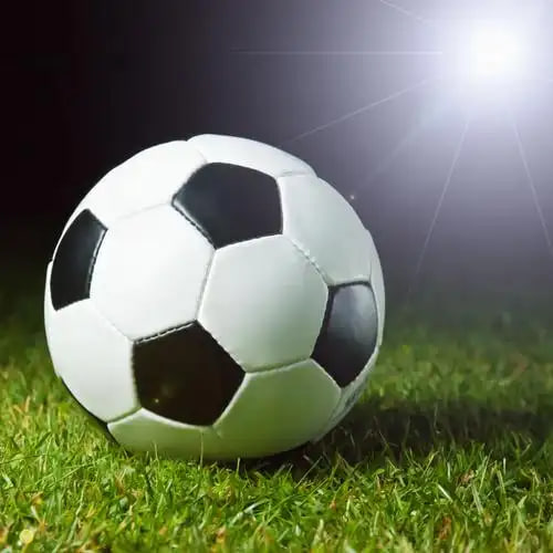 足彩预测分析数据可视化