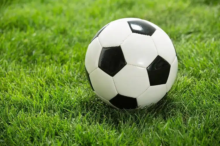 全球联赛覆盖示意图